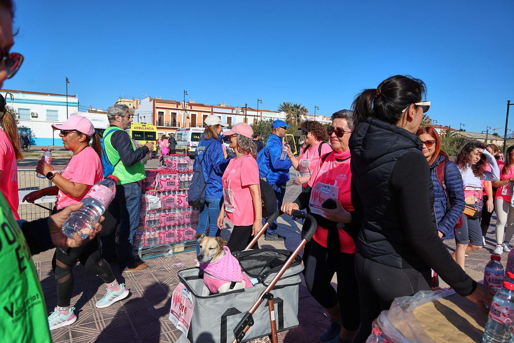 Las mejores fotos de la Carrera de la Mujer Central Lechera Asturiana de Valencia 2025. 1552