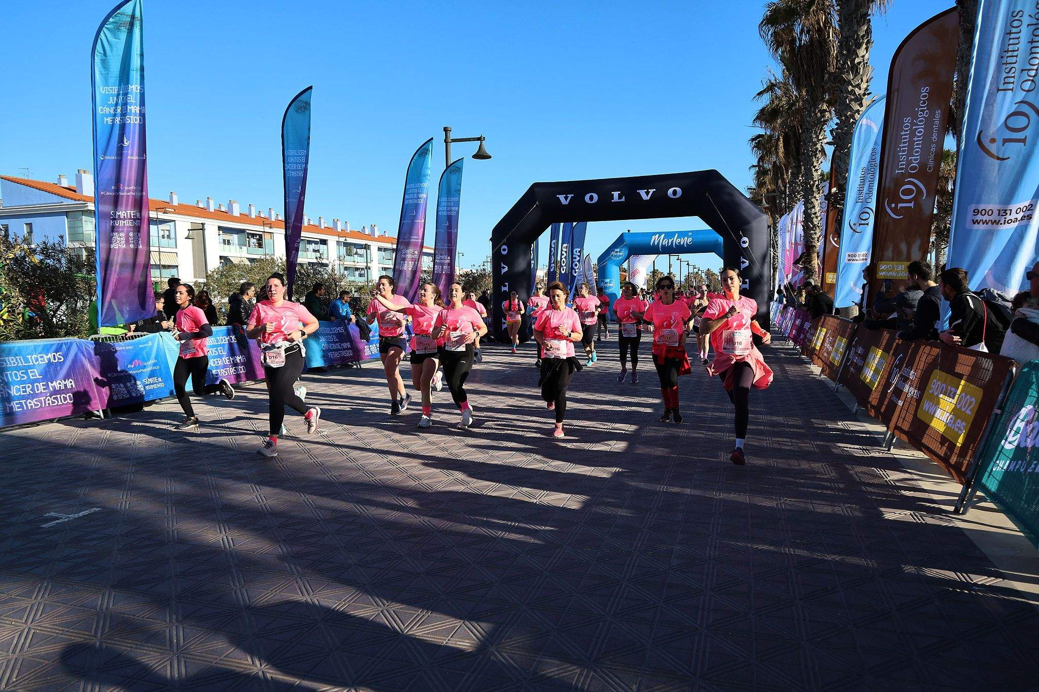 Las mejores fotos de la Carrera de la Mujer Central Lechera Asturiana de Valencia 2025. 625