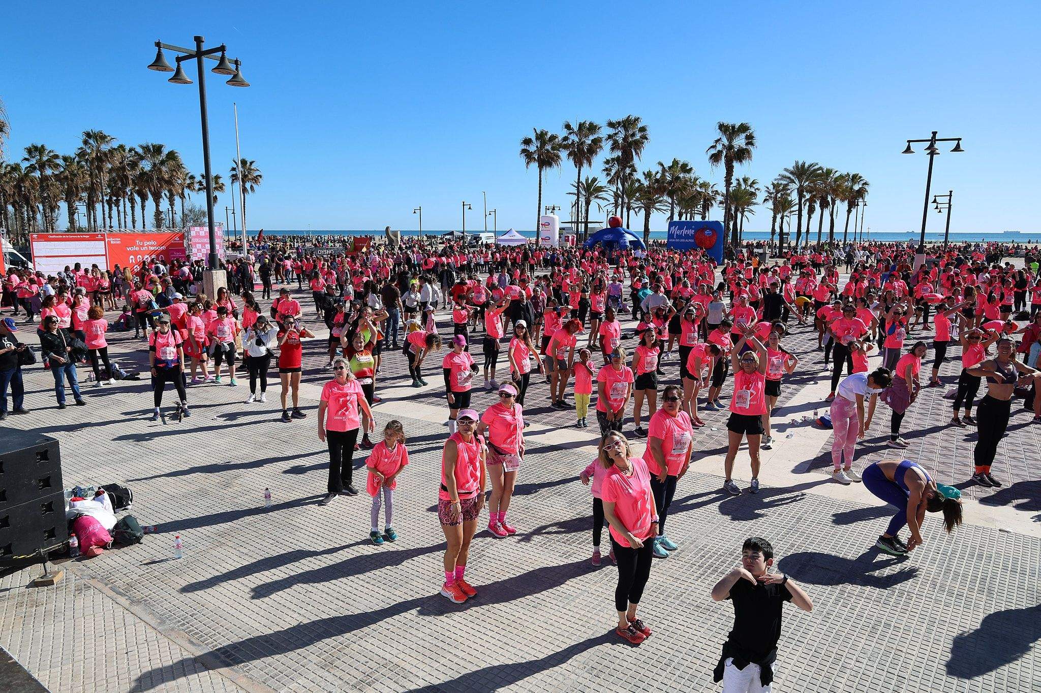 Las mejores fotos de la Carrera de la Mujer Central Lechera Asturiana de Valencia 2025. 1618