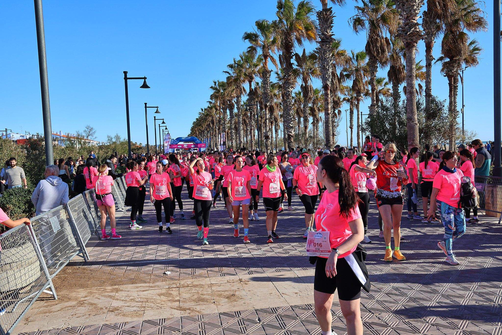 Las mejores fotos de la Carrera de la Mujer Central Lechera Asturiana de Valencia 2025. 904