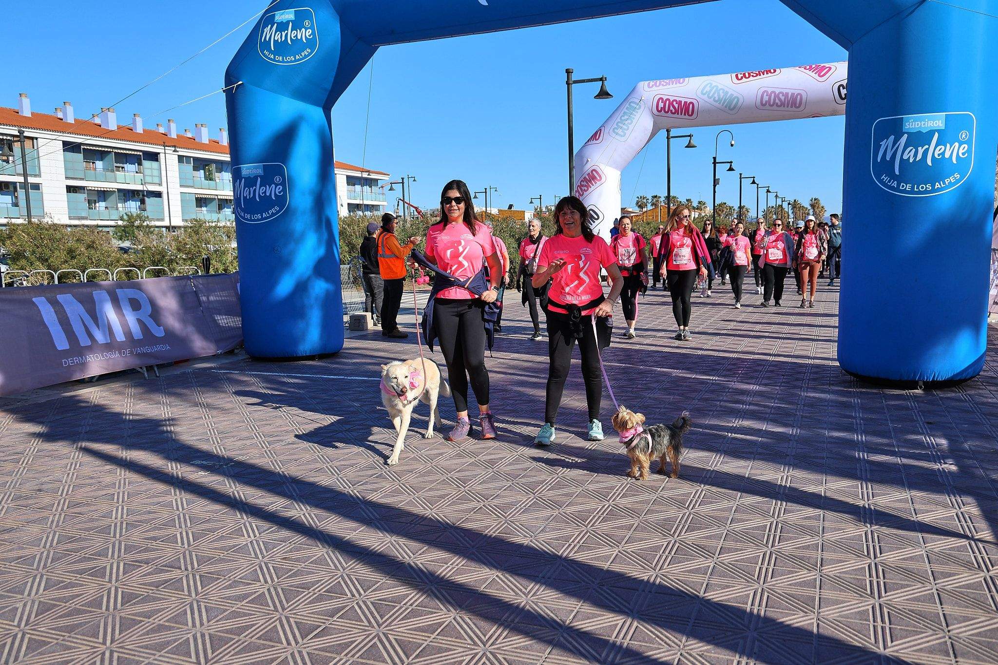 Las mejores fotos de la Carrera de la Mujer Central Lechera Asturiana de Valencia 2025. 1408