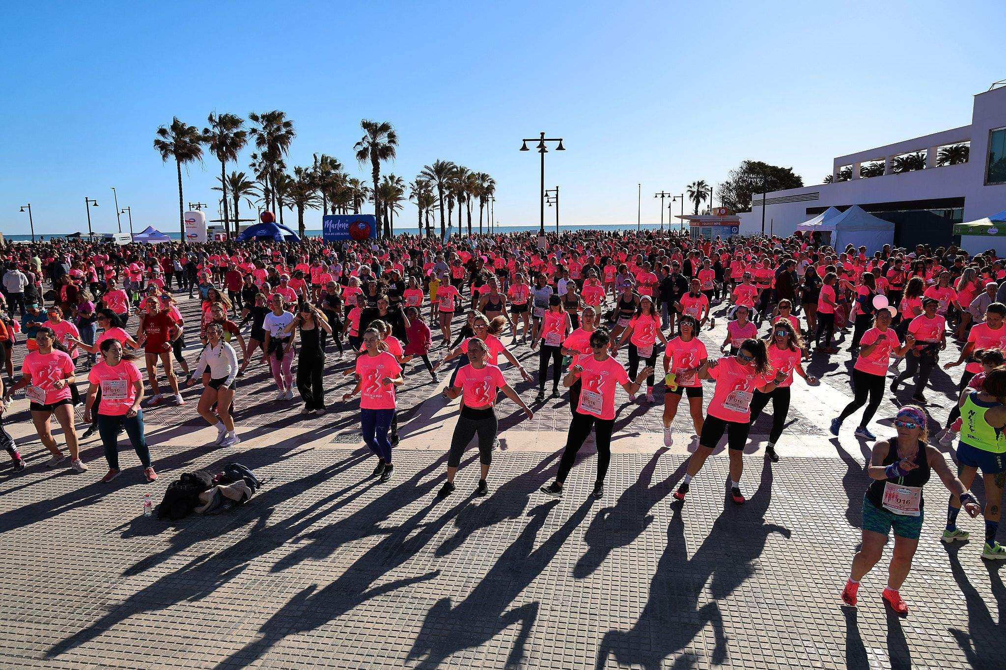Las mejores fotos de la Carrera de la Mujer Central Lechera Asturiana de Valencia 2025. 976