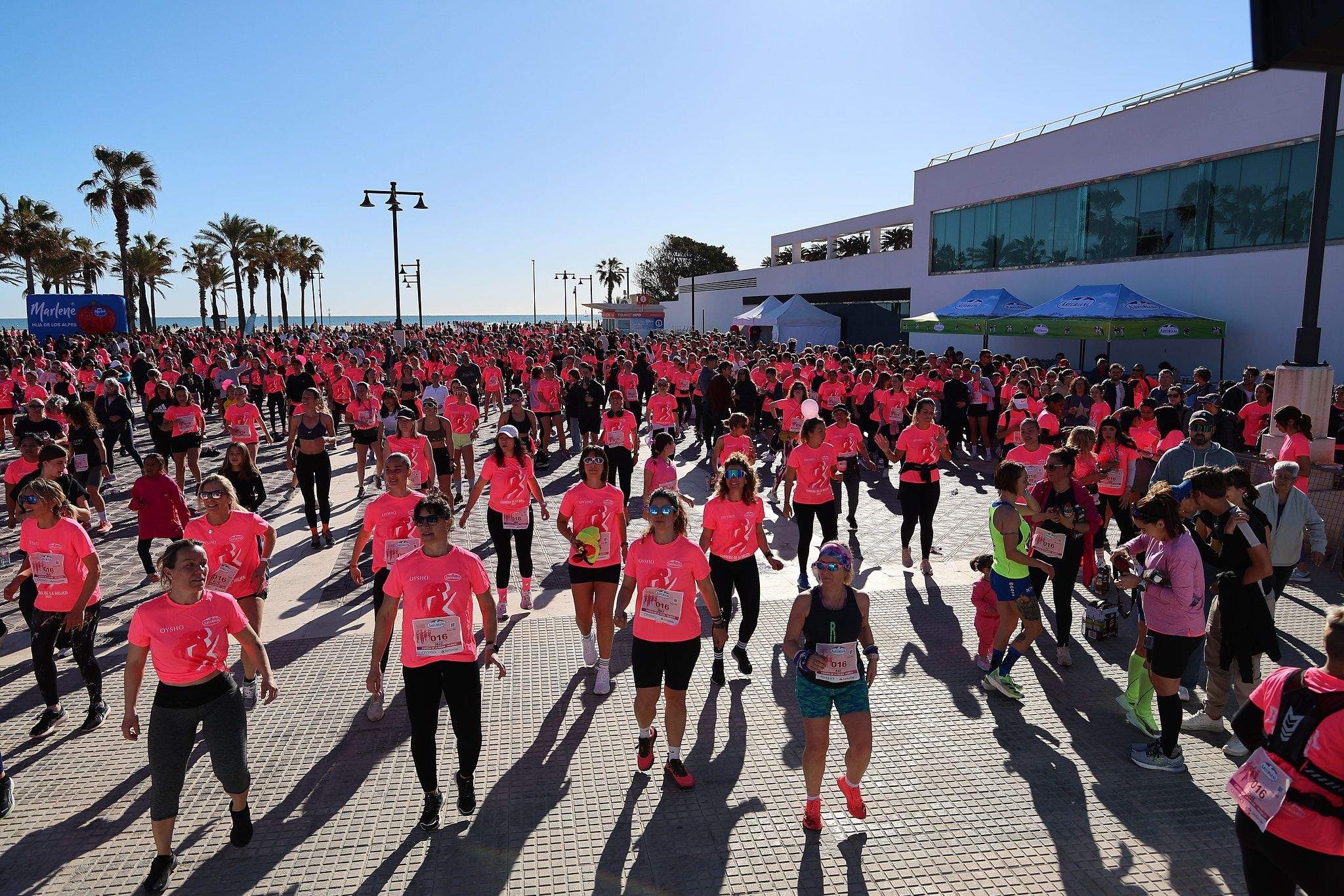 Las mejores fotos de la Carrera de la Mujer Central Lechera Asturiana de Valencia 2025. 981