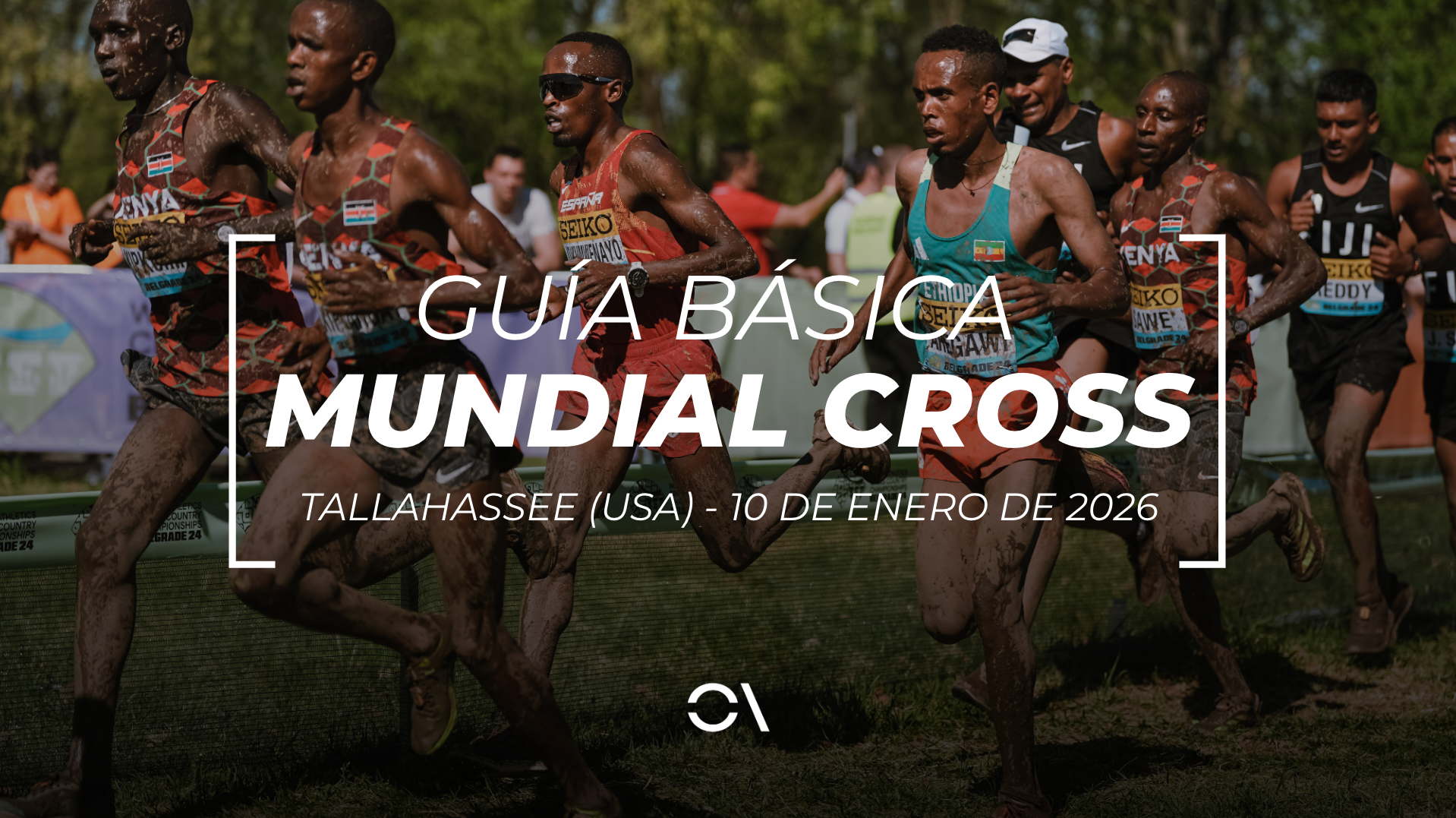 Todo lo que tienes que saber sobre el Campeonato del Mundo de Cross que se celebra este sábado en Tallahassee (Estados Unidos). SPORTMEDIA. Todo lo que tienes que saber sobre el Campeonato del Mundo de Cross que se celebra este sábado en Tallahassee (Estados Unidos). SPORTMEDIA.