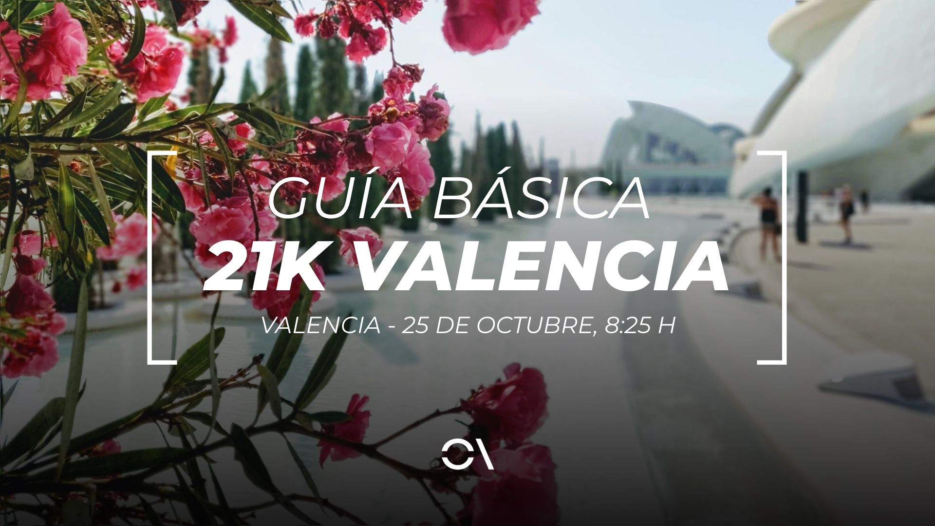 Todo lo que tienes que saber sobre el Medio Maratón de Valencia 2026.