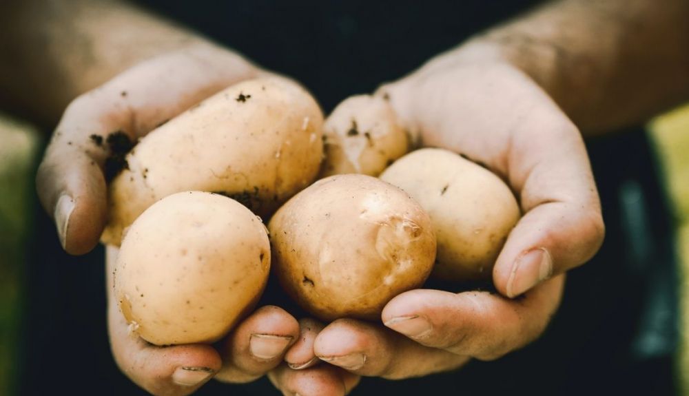 Las patatas tienen unas cualidades que no debes dejar escapar.