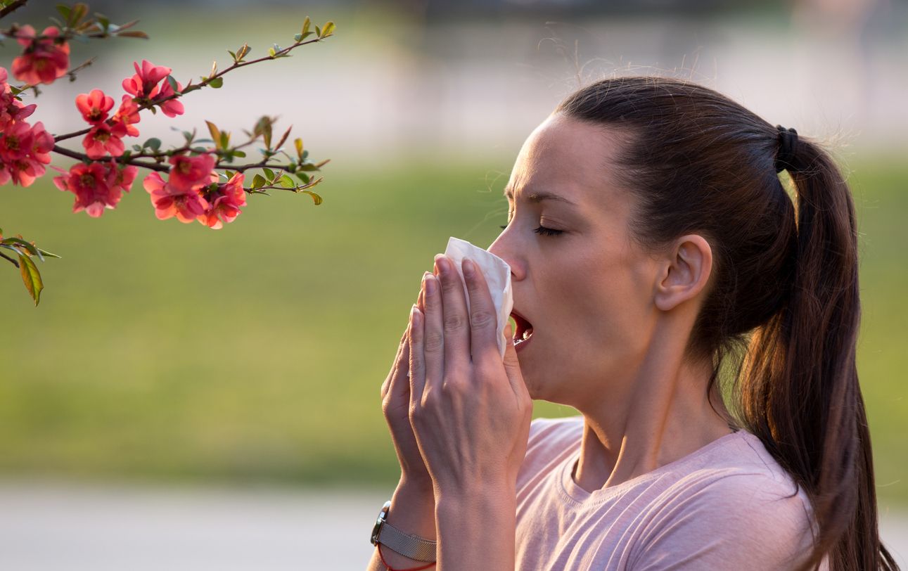 Consejos para minimizar los efectos de la alergia Consejos para minimizar los efectos de la alergia
