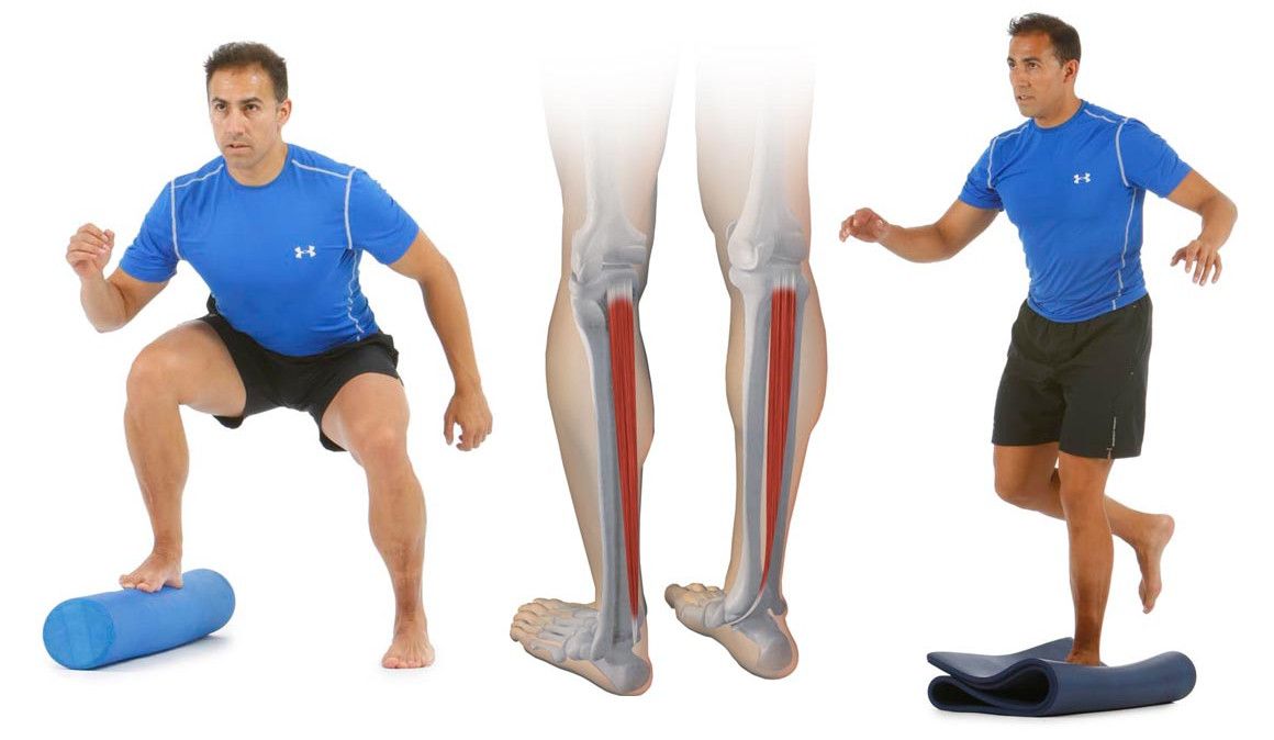 Arco plantar: reforzar el tibial posterior Arco plantar: reforzar el tibial posterior
