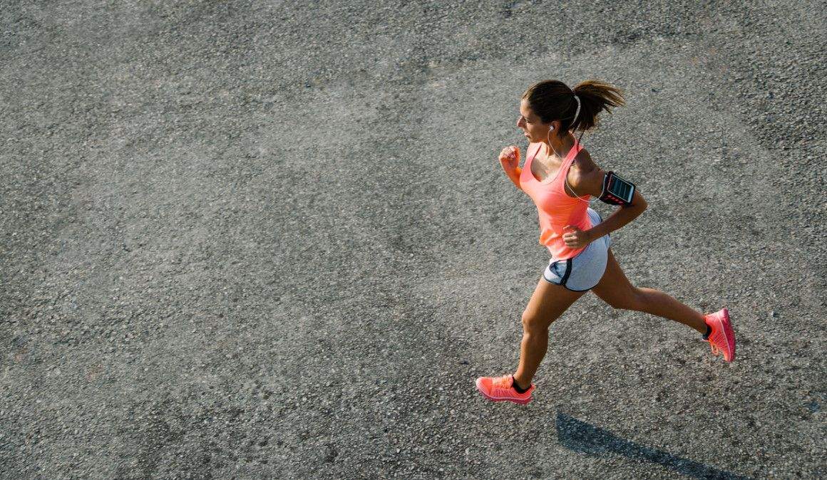 Construye una buena base de entrenamiento Construye una buena base de entrenamiento