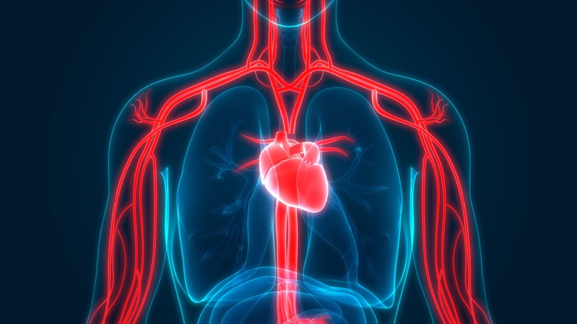 Cualquier ejercicio es bueno para favorecer la circulación sanguínea | iStock