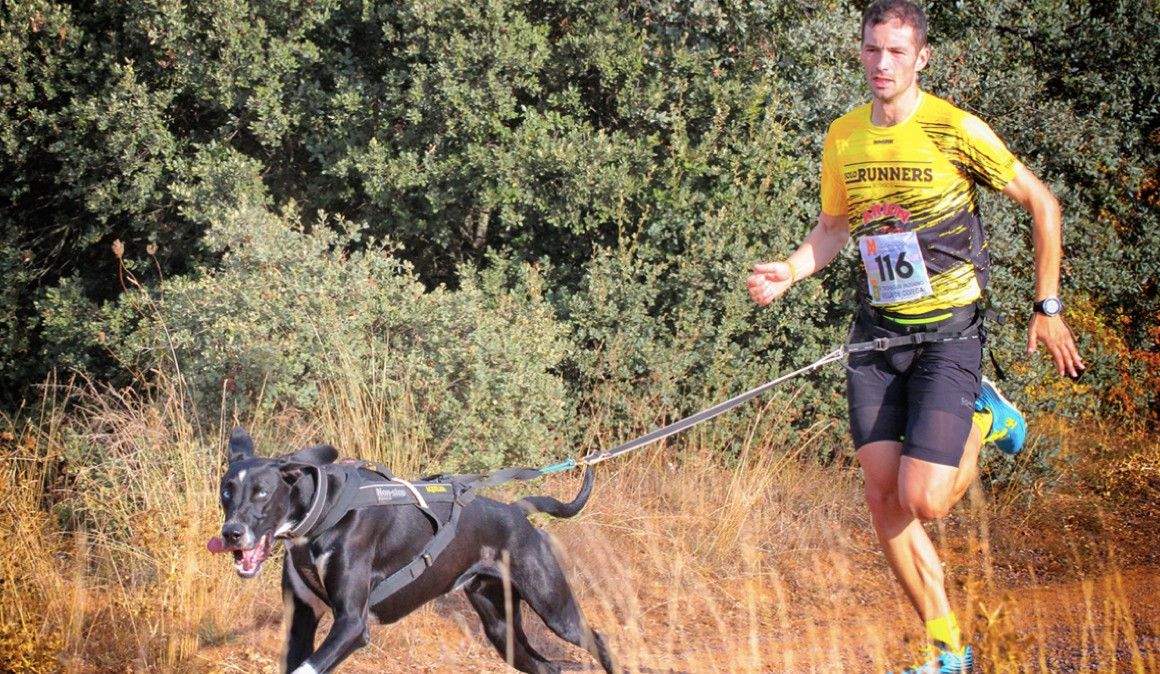 Rodrigo Alonso durante una competición de canicross | Burgos Deporte Rodrigo Alonso durante una competición de canicross | Burgos Deporte