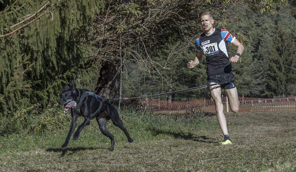 Ben Robinson junto con su perro en una competición | Robinson Canicross