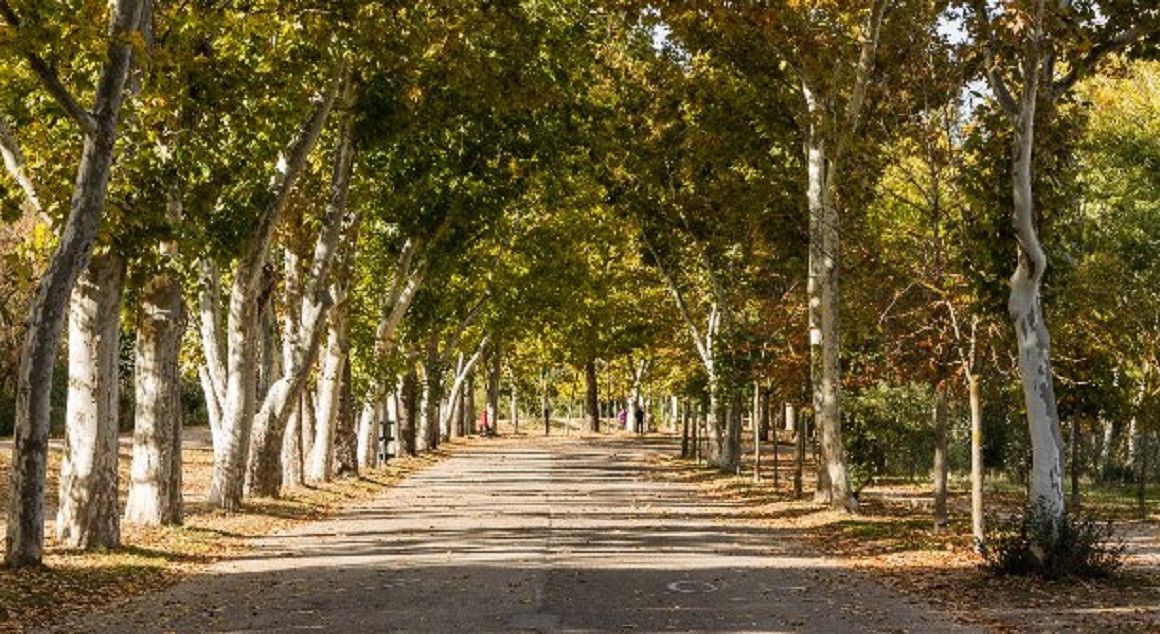 Una imagen de la casa de Campo de Madrid vacía.