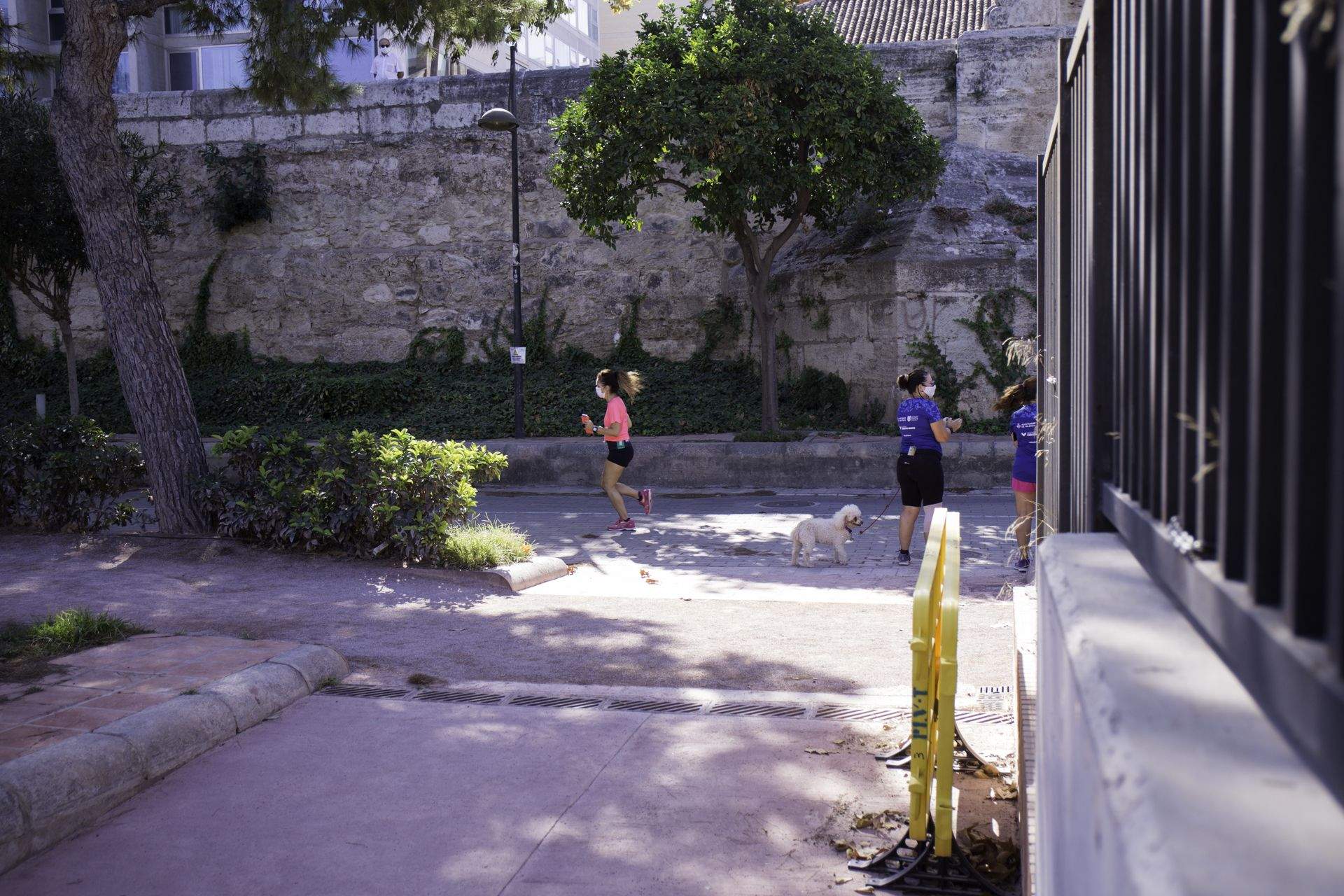 Las mejores fotos de la Carrera de la Mujer Virtual de Valencia 2020 (CARRERA)