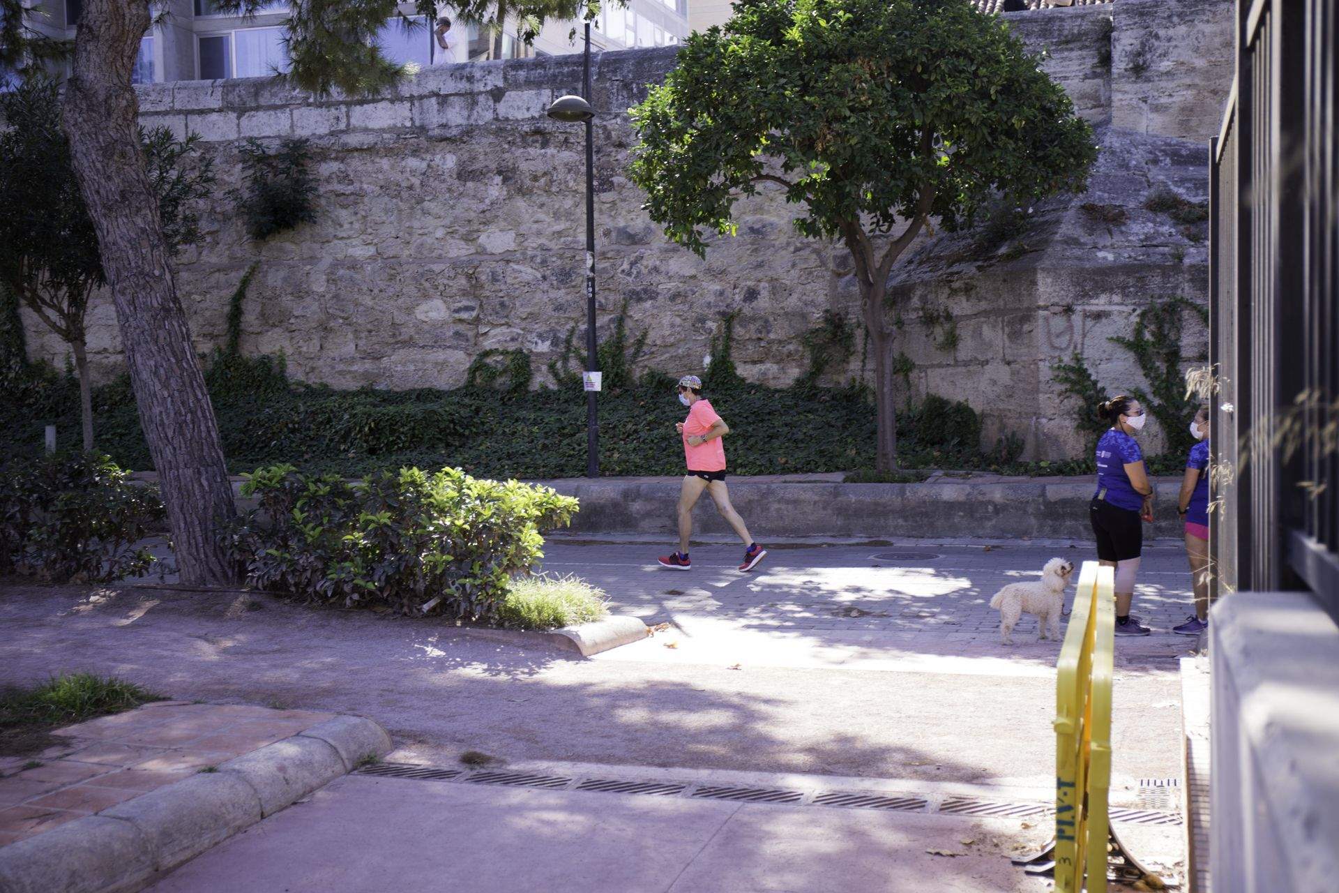 Las mejores fotos de la Carrera de la Mujer Virtual de Valencia 2020 (CARRERA)