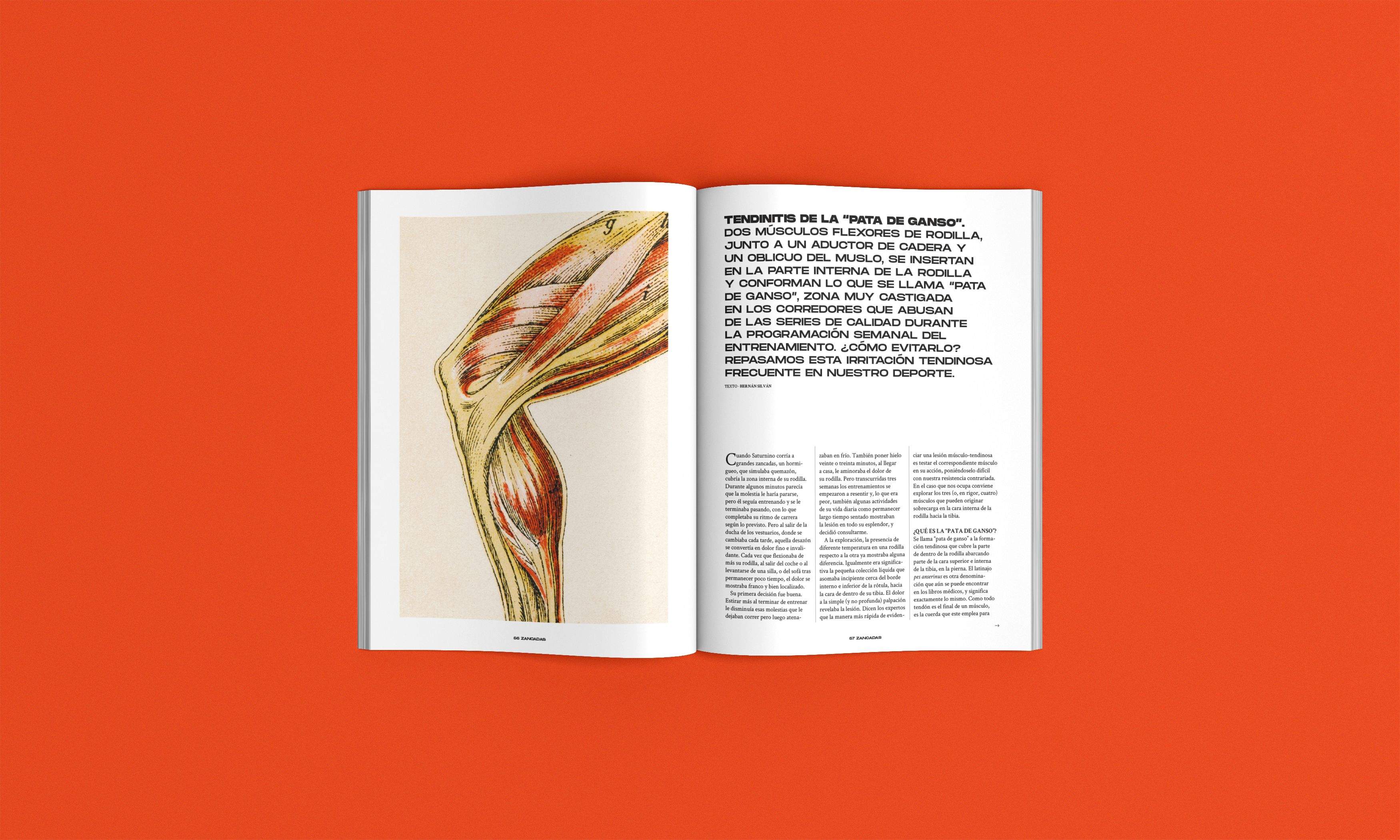 Un resumen de lo que te encontrarás en el número 19 de la revista Corredor Un resumen de lo que te encontrarás en el número 19 de la revista Corredor