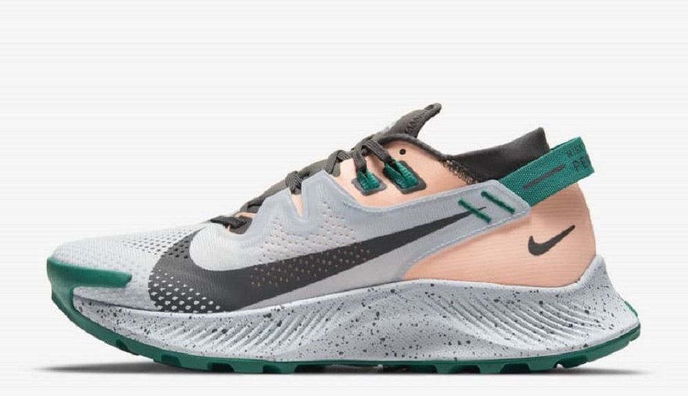 Nike Pegasus Trail 2