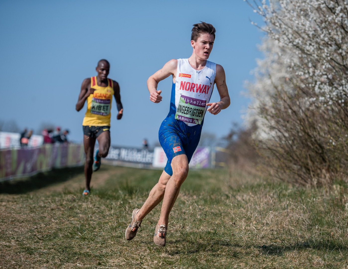 Tremendo desfallecimiento de Jakob Ingebrigtsen tras el mundial de cross