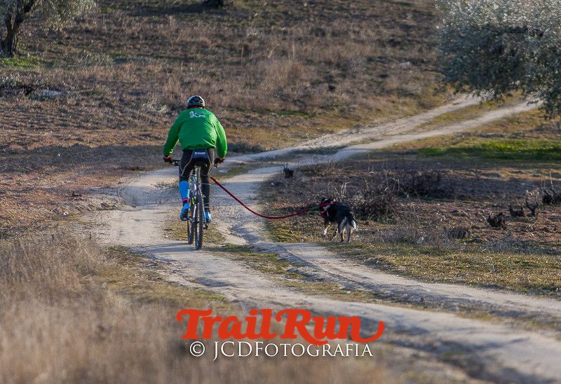 Mushing de Villamanta: canicross y bikejoring popular