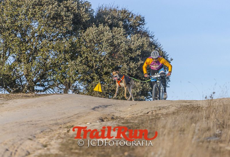 Mushing de Villamanta: canicross y bikejoring popular