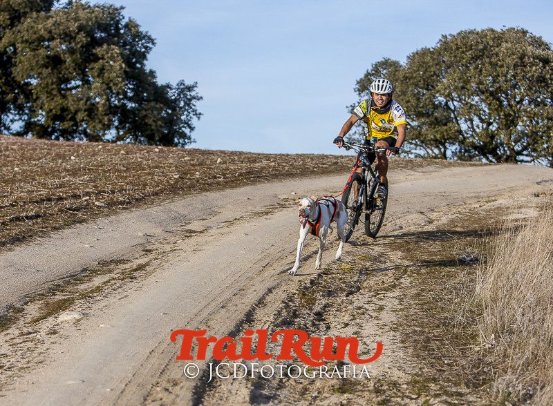 Mushing de Villamanta: canicross y bikejoring popular