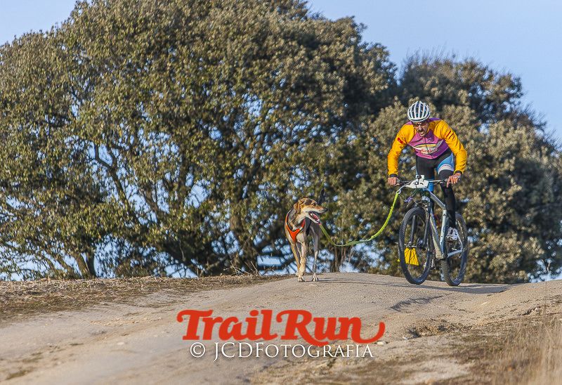 Mushing de Villamanta: canicross y bikejoring popular