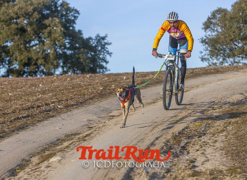 Mushing de Villamanta: canicross y bikejoring popular
