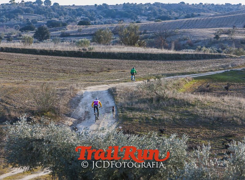Mushing de Villamanta: canicross y bikejoring popular