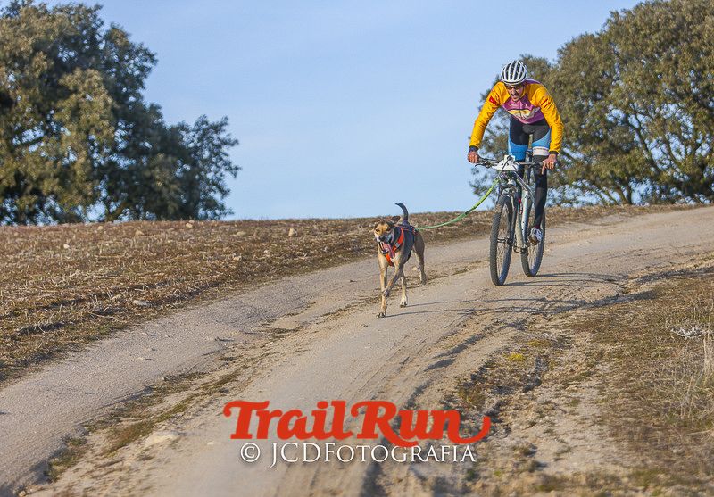 Mushing de Villamanta: canicross y bikejoring popular