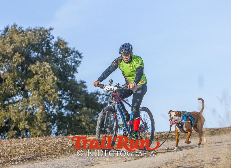 Mushing de Villamanta: canicross y bikejoring popular