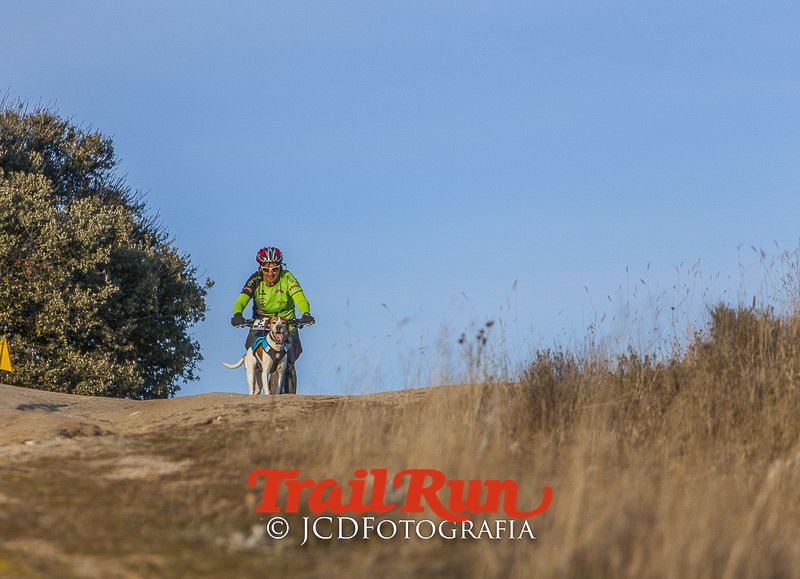 Mushing de Villamanta: canicross y bikejoring popular