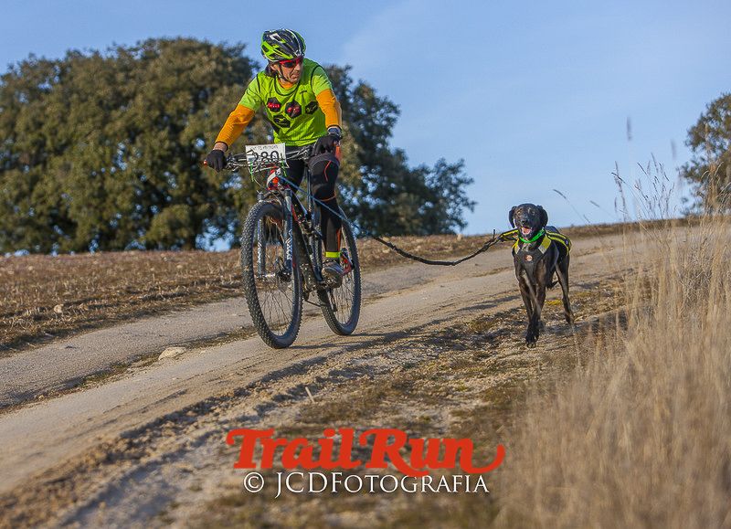 Mushing de Villamanta: canicross y bikejoring popular