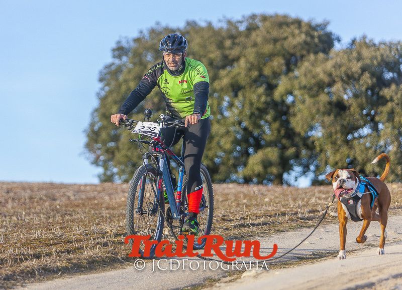 Mushing de Villamanta: canicross y bikejoring popular