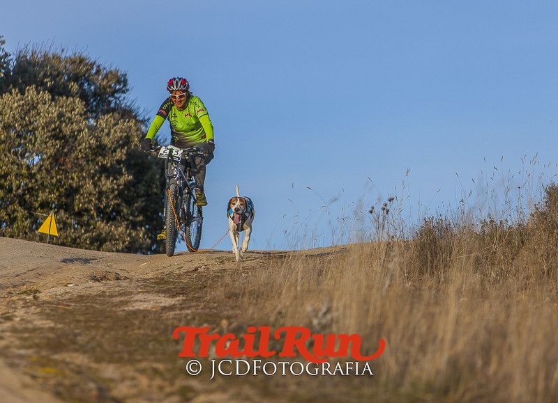 Mushing de Villamanta: canicross y bikejoring popular
