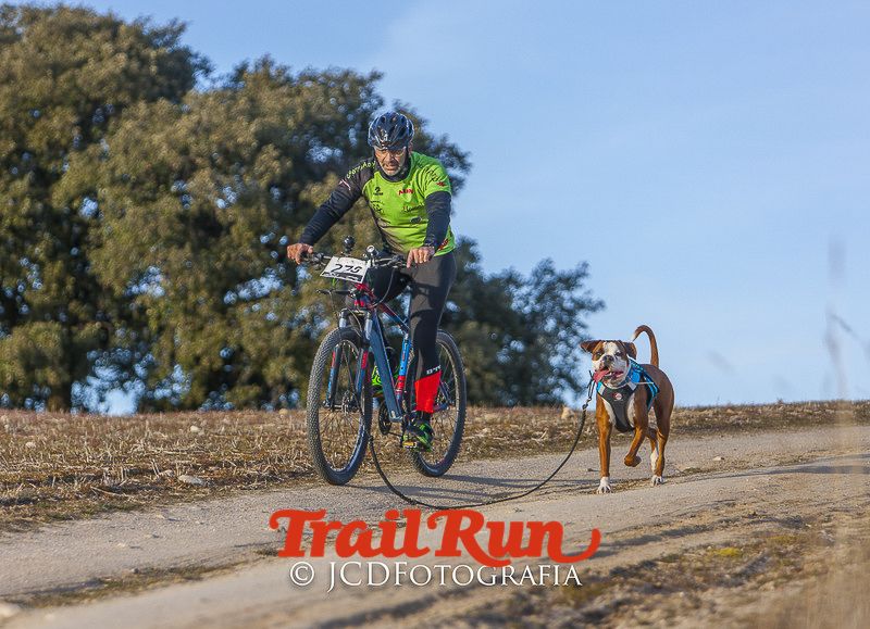 Mushing de Villamanta: canicross y bikejoring popular