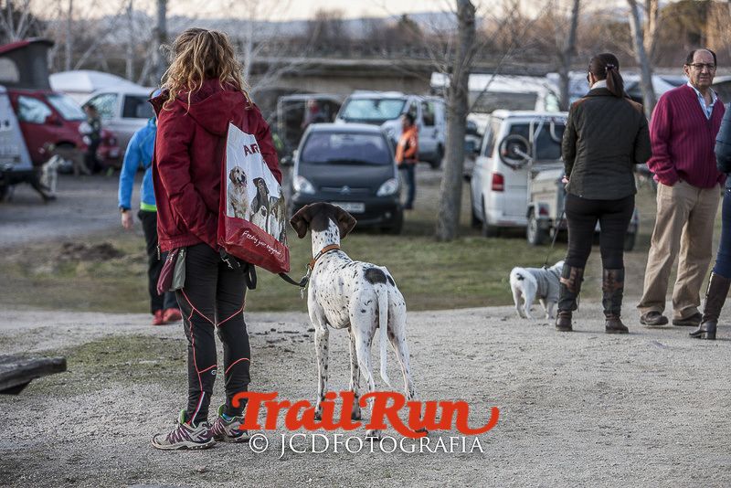 Mushing de Villamanta: canicross y bikejoring popular