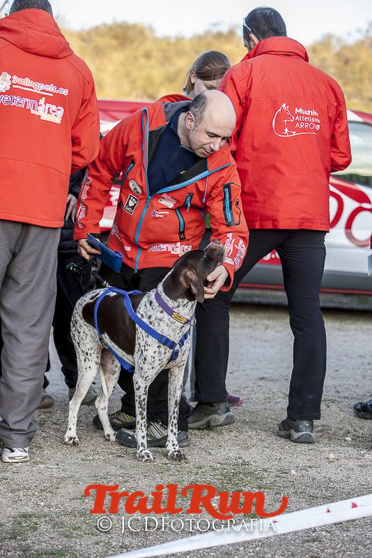 Mushing de Villamanta: canicross y bikejoring popular