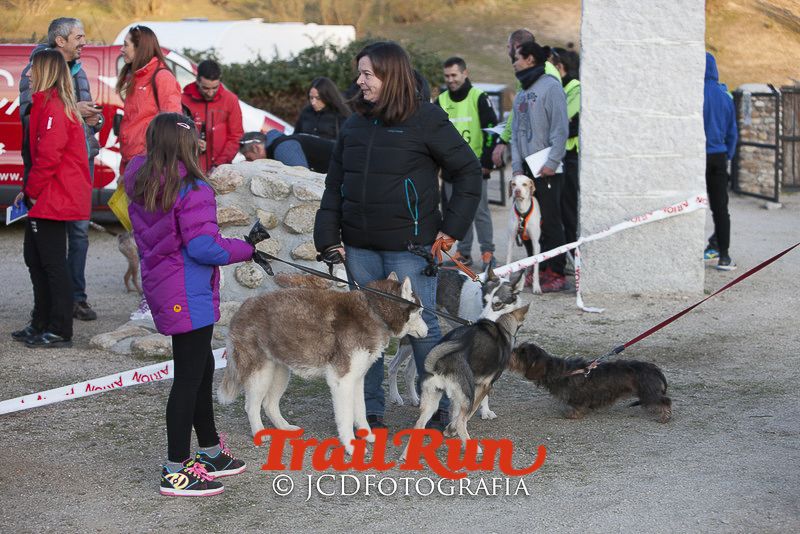Mushing de Villamanta: canicross y bikejoring popular