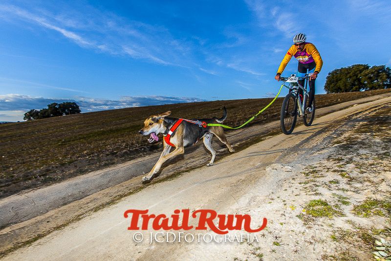 Mushing de Villamanta: canicross y bikejoring popular