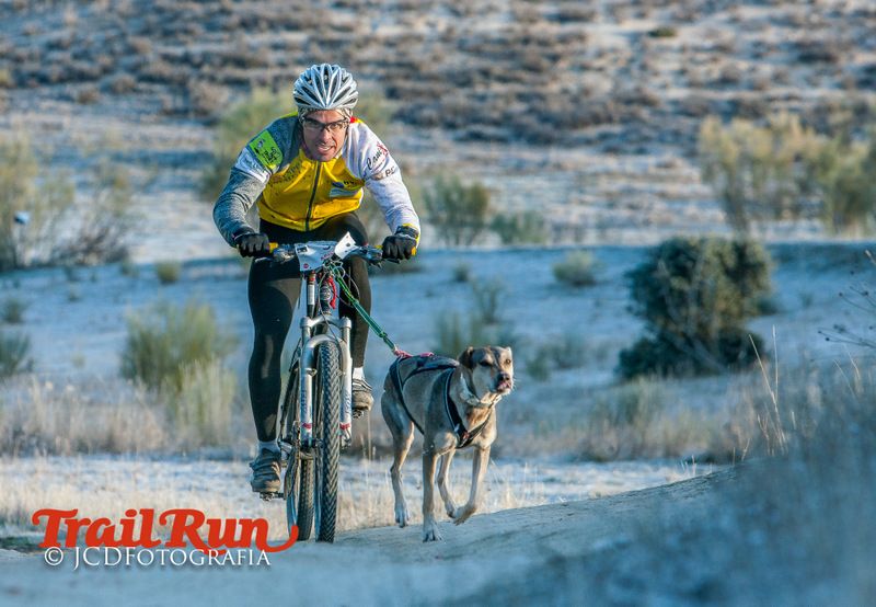 Campeonato de España de Mushing 2017