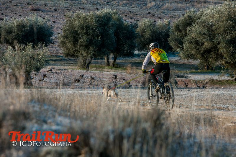 Campeonato de España de Mushing 2017