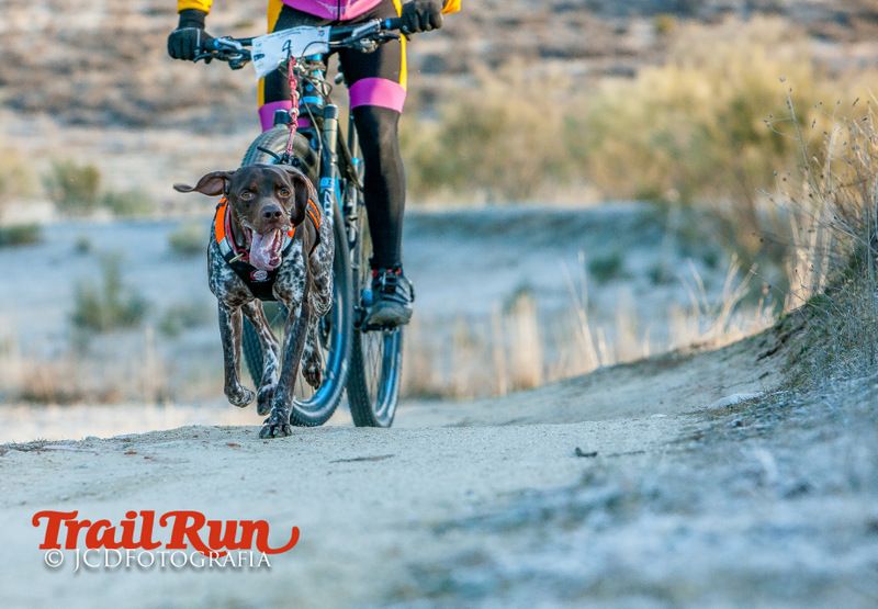 Campeonato de España de Mushing 2017