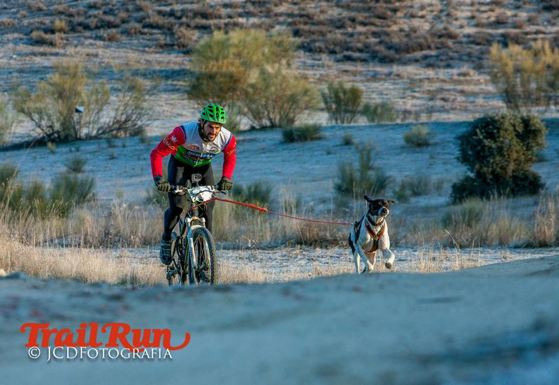 Campeonato de España de Mushing 2017