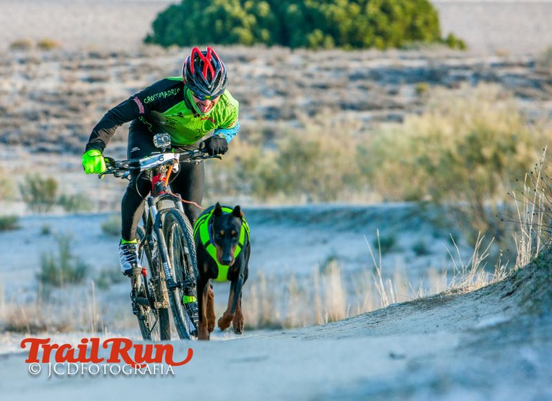 Campeonato de España de Mushing 2017