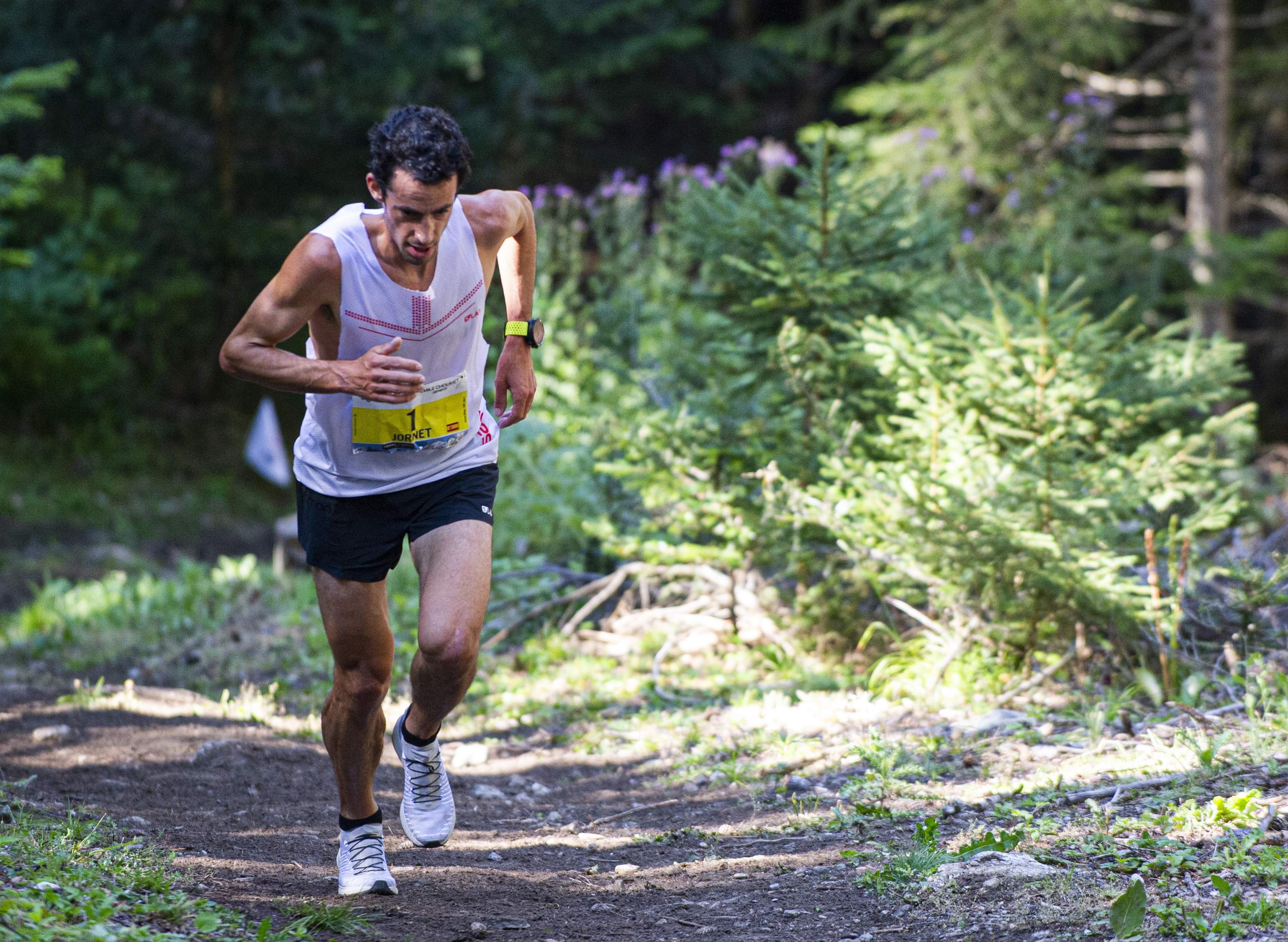 Kilian Jornet defiende un turismo de proximidad o de largas estancias (EFE). Kilian Jornet defiende un turismo de proximidad o de largas estancias (EFE).