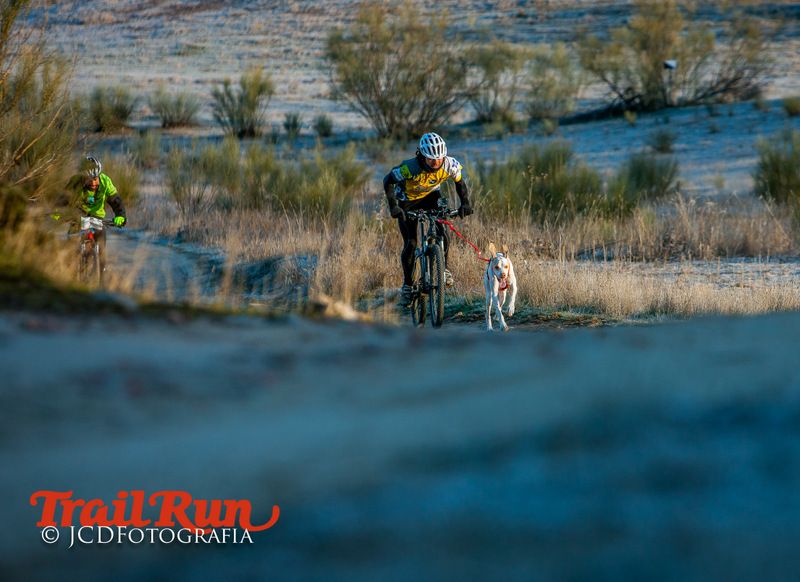 Campeonato de España de Mushing 2017