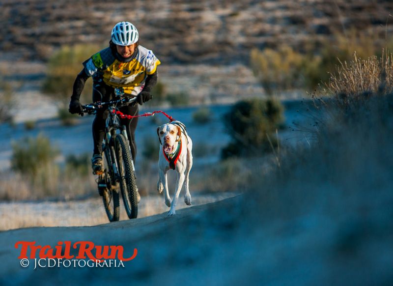 Campeonato de España de Mushing 2017