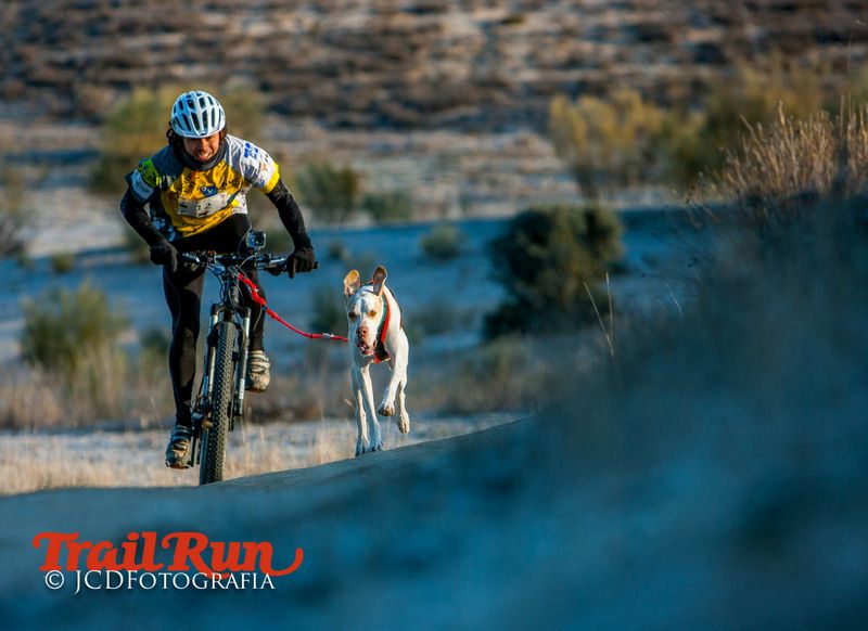 Campeonato de España de Mushing 2017