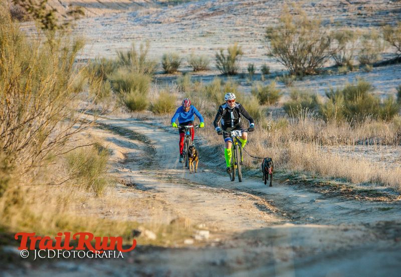 Campeonato de España de Mushing 2017