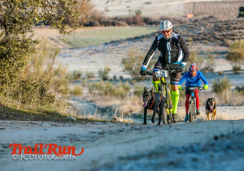 Campeonato de España de Mushing 2017